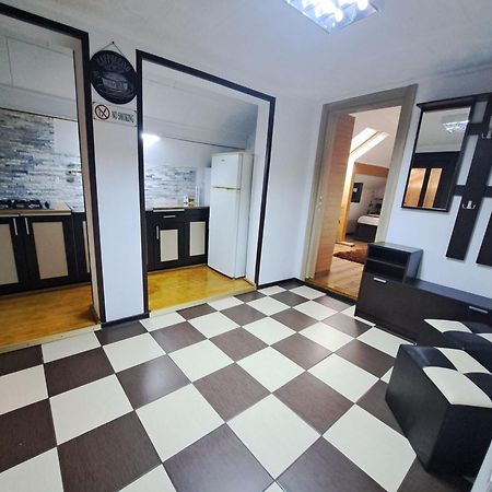 Shelby Accommodation -Adult Only- 시나이아 외부 사진