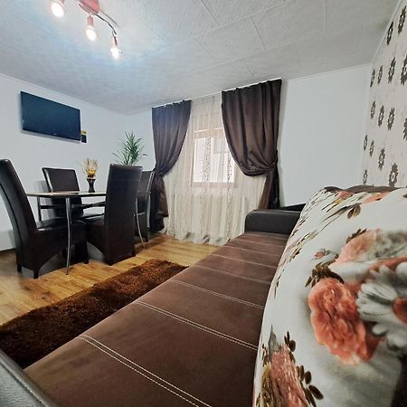 Shelby Accommodation -Adult Only- 시나이아 외부 사진